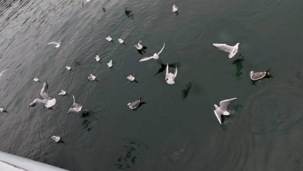 2025 左門町町会「秋のレクレーション」